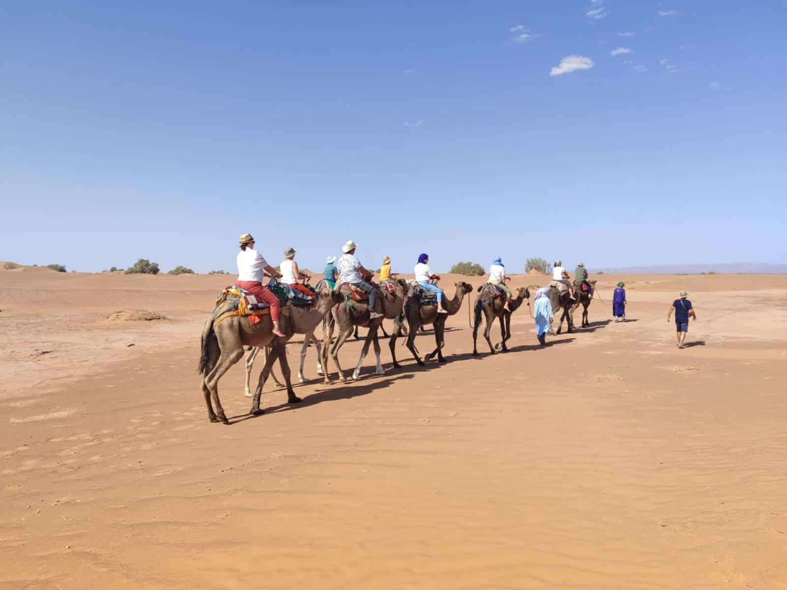 Desert Bivouac Mhamid Buitenkant foto
