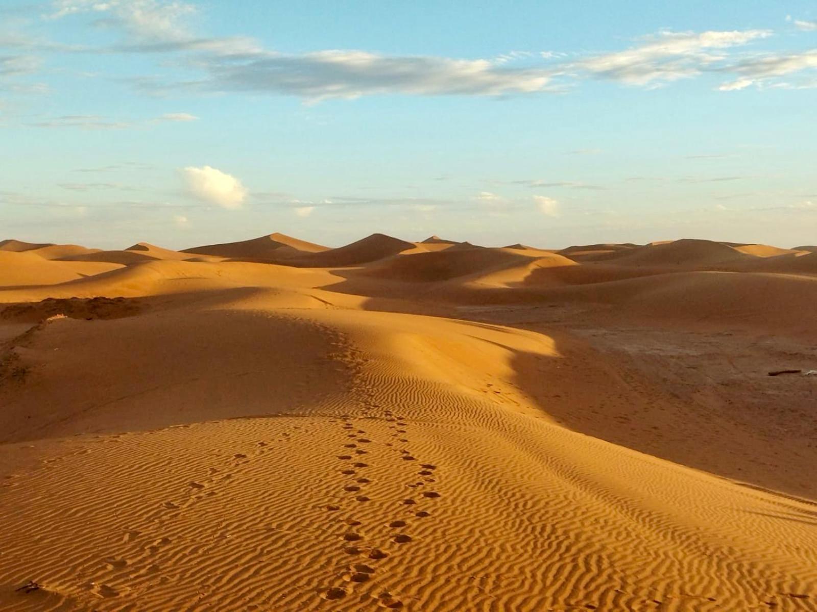 Desert Bivouac Mhamid Buitenkant foto